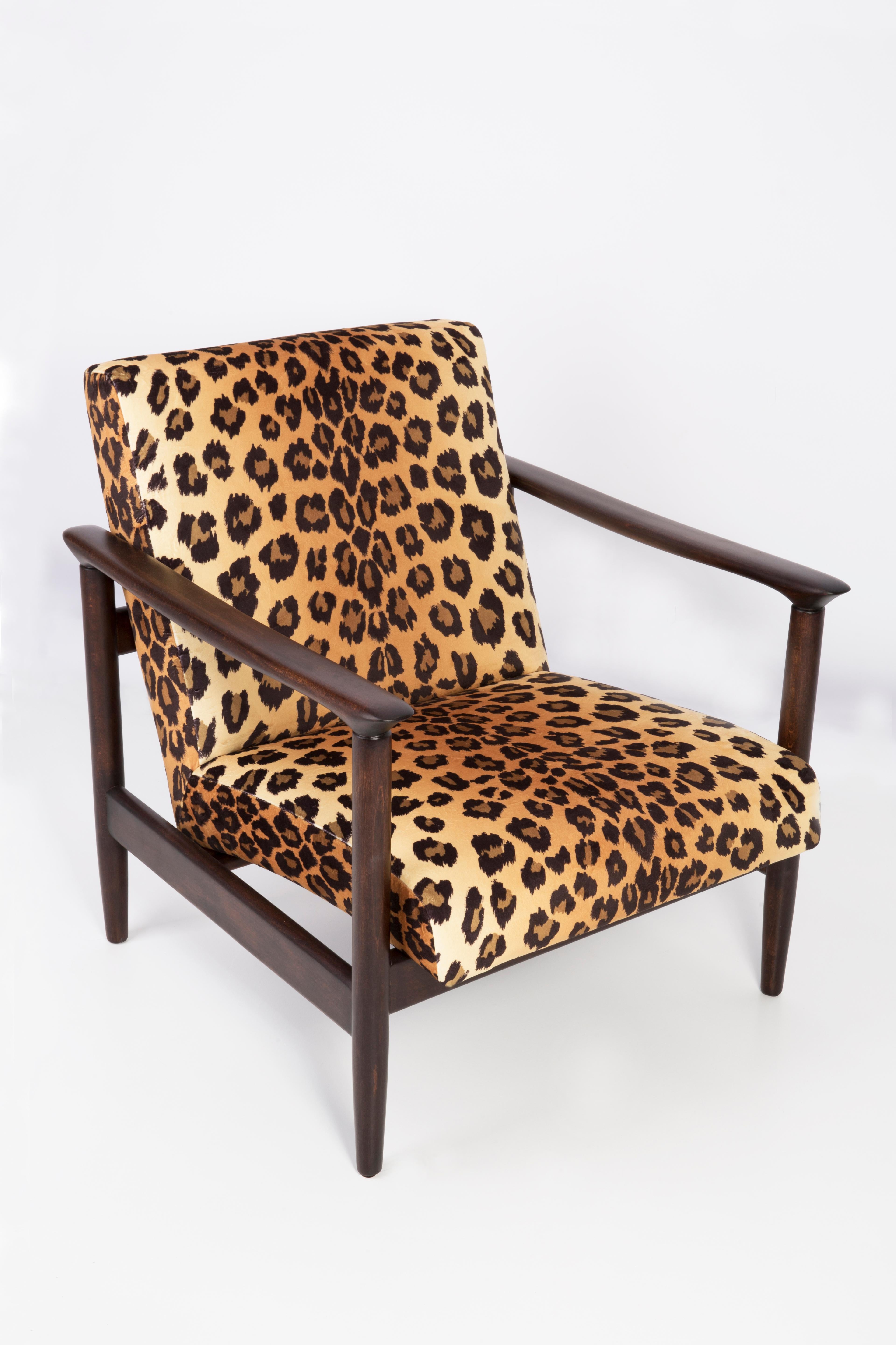 Pair of Leopard Velvet Armchairs, Hollywood Regency, Edmund Homa, 1960s, Poland For Sale 1