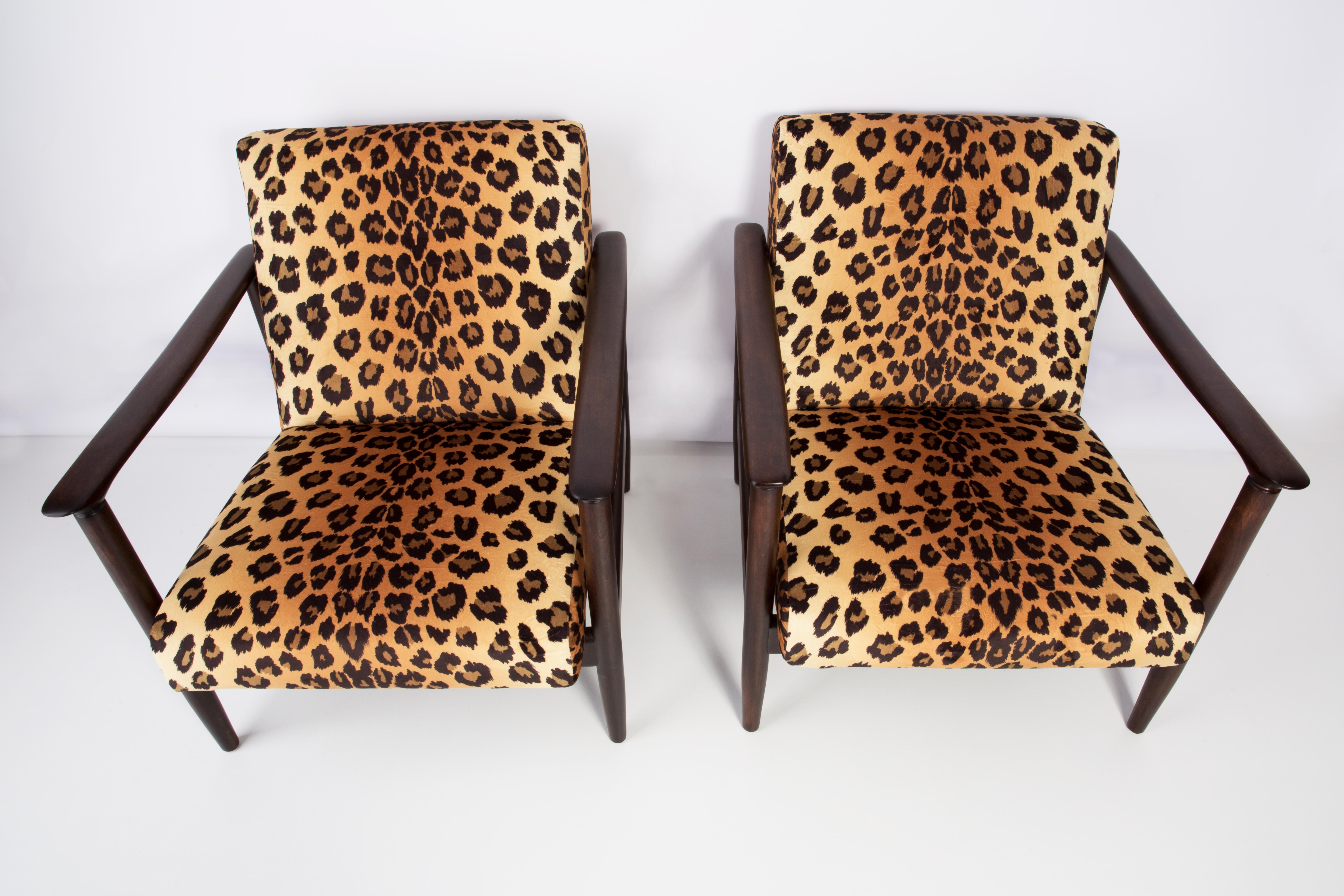 cheetah print chair academy