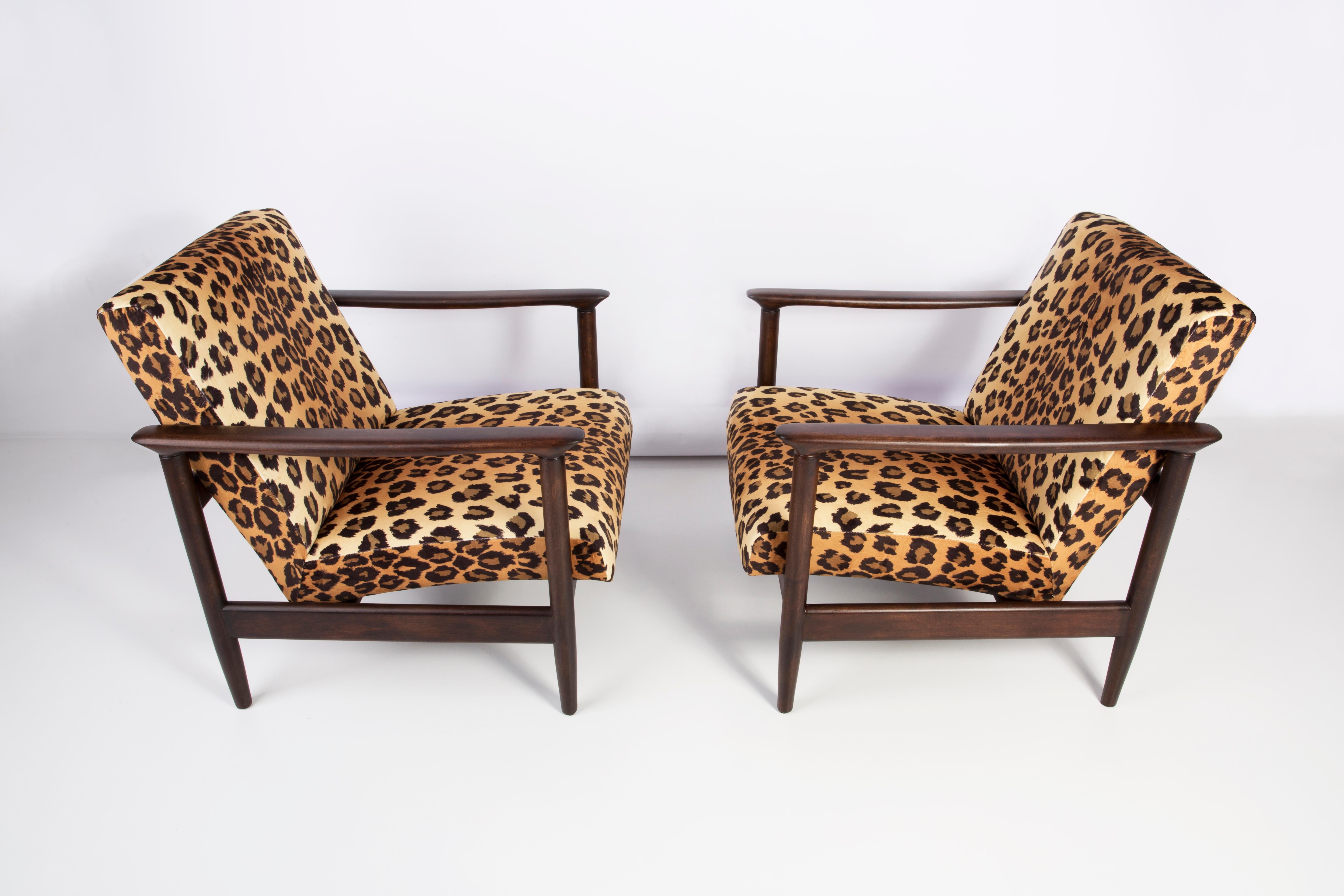 Polish Pair of Leopard Velvet Armchairs, Hollywood Regency, Edmund Homa, 1960s, Poland For Sale