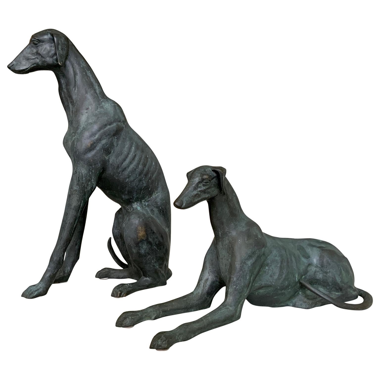 whippet size