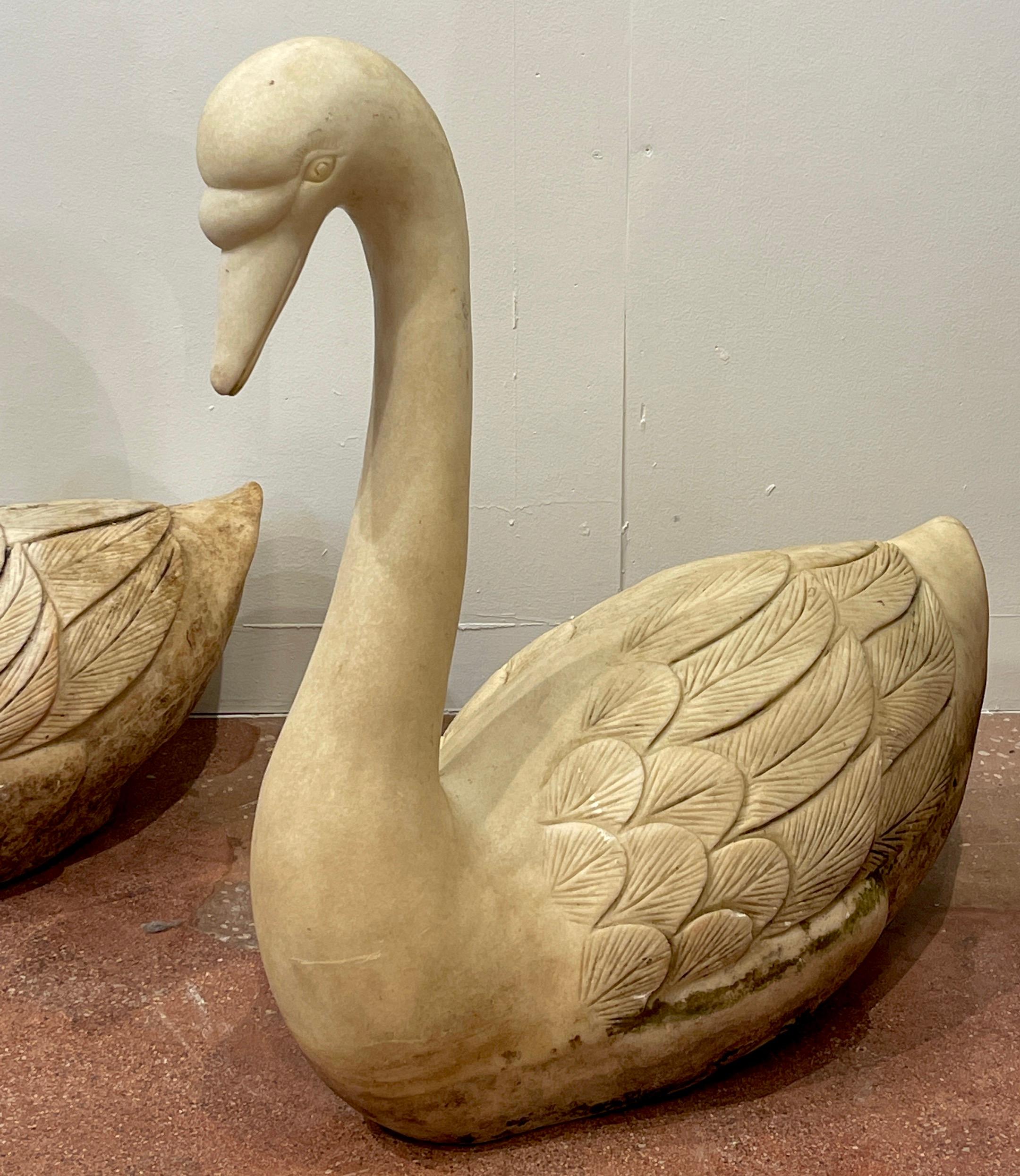 Italian Pair of Life Size Carved Marble Garden Swans, Italy, C 1920