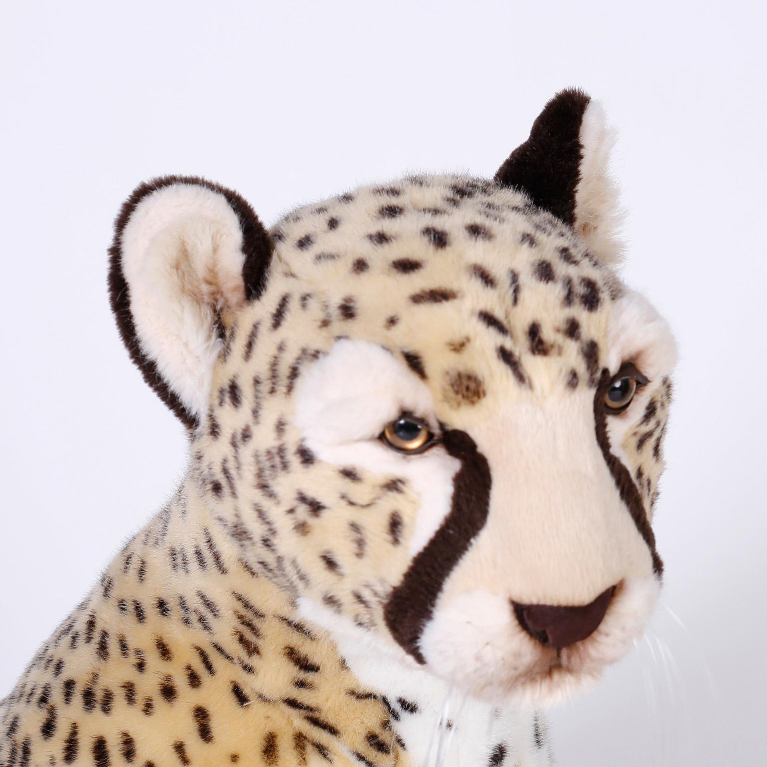 cheetah size