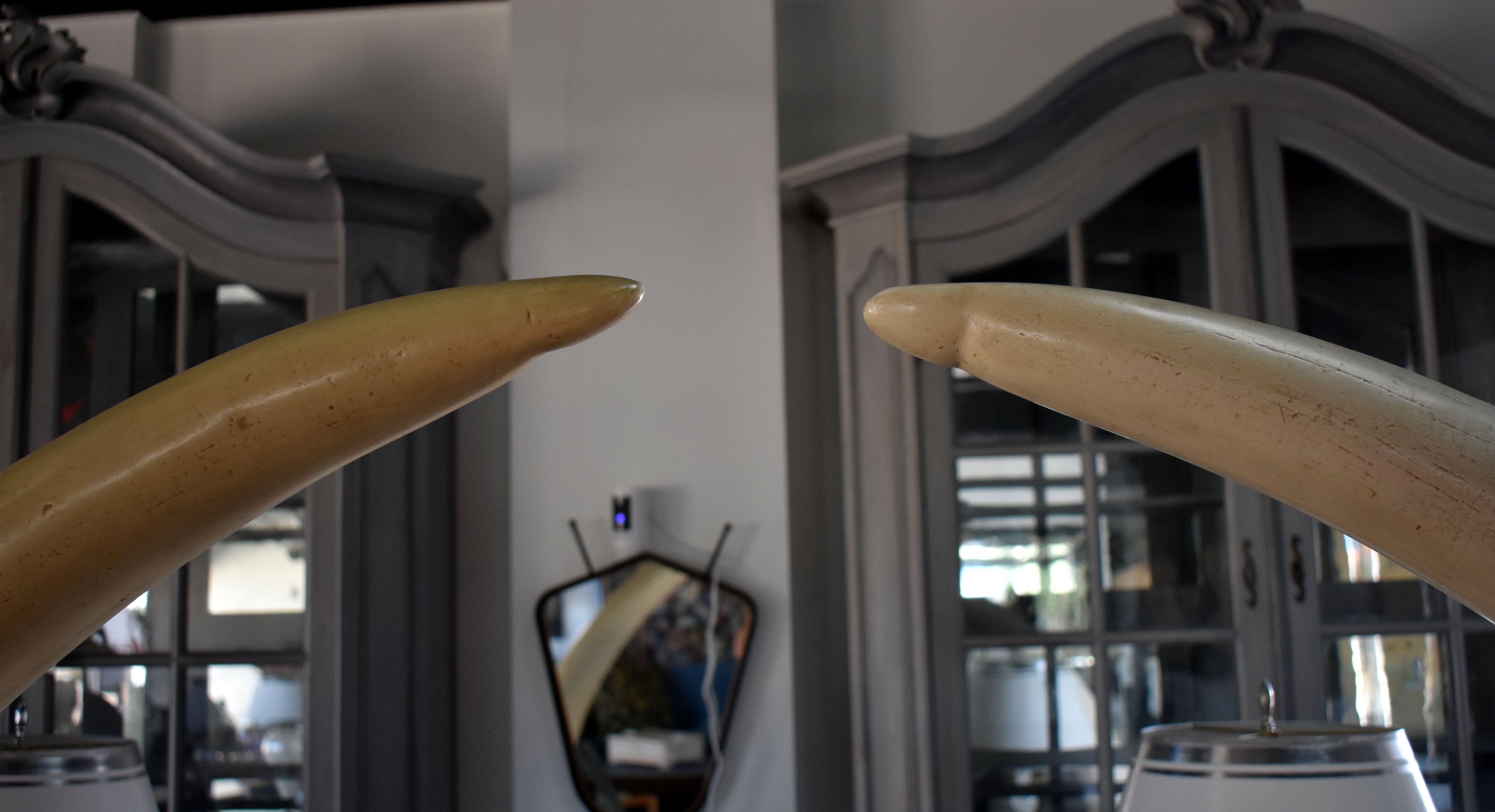 American Pair of Life-Size Faux Elephant Tusks For Sale