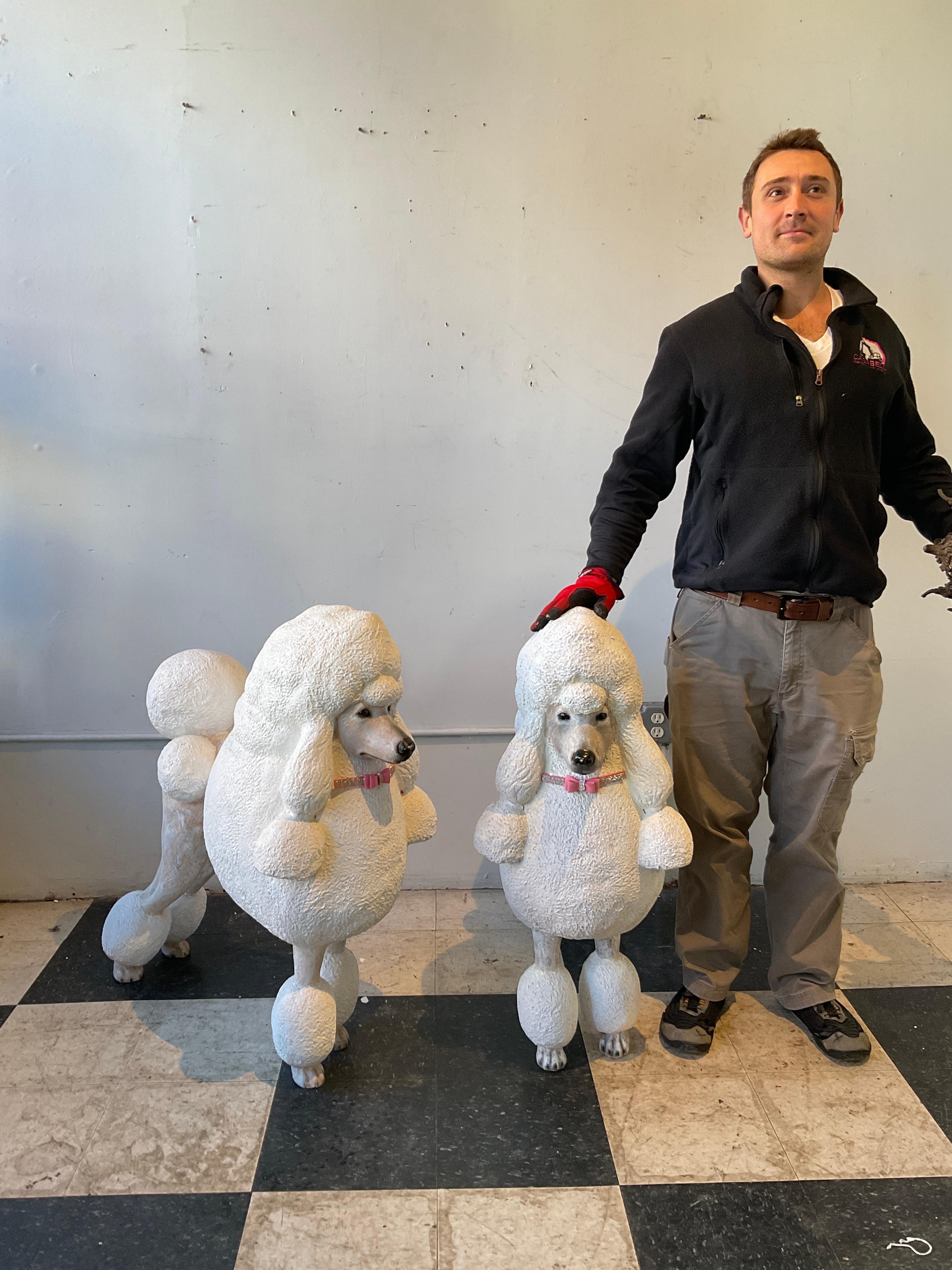 Pair of amazingly lifelike French Poodles made from fiberglass. Used on the TV show The Marvelous Mrs. Maisel.