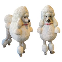 Pair of Life Size Fiberglass French Poodles