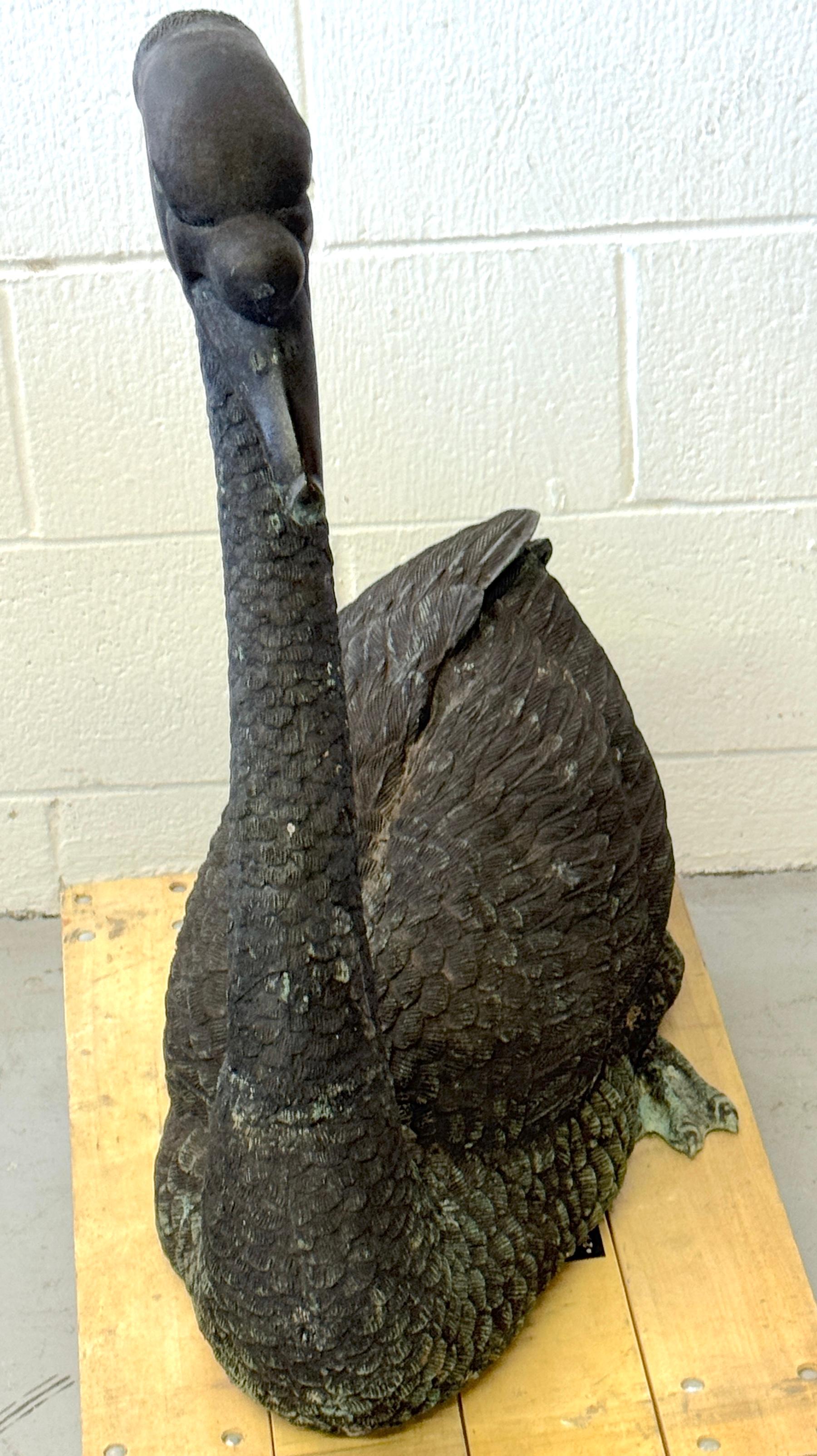 Pair of Life-Size Patinated Bronze Garden Swans, France, 20th Century (Pre-WWII) For Sale 9