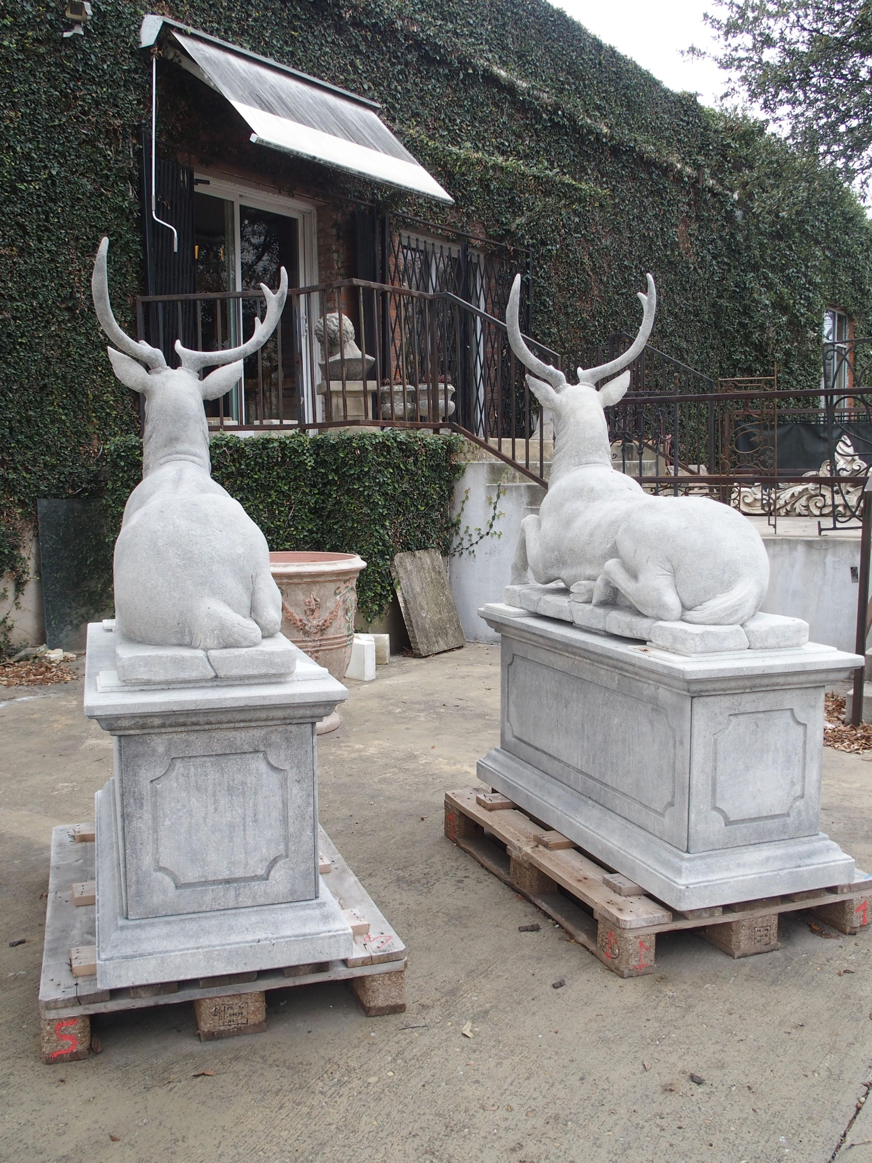 Pair of Life-Sized Italian Carved Limestone Stags on Pedestals 5