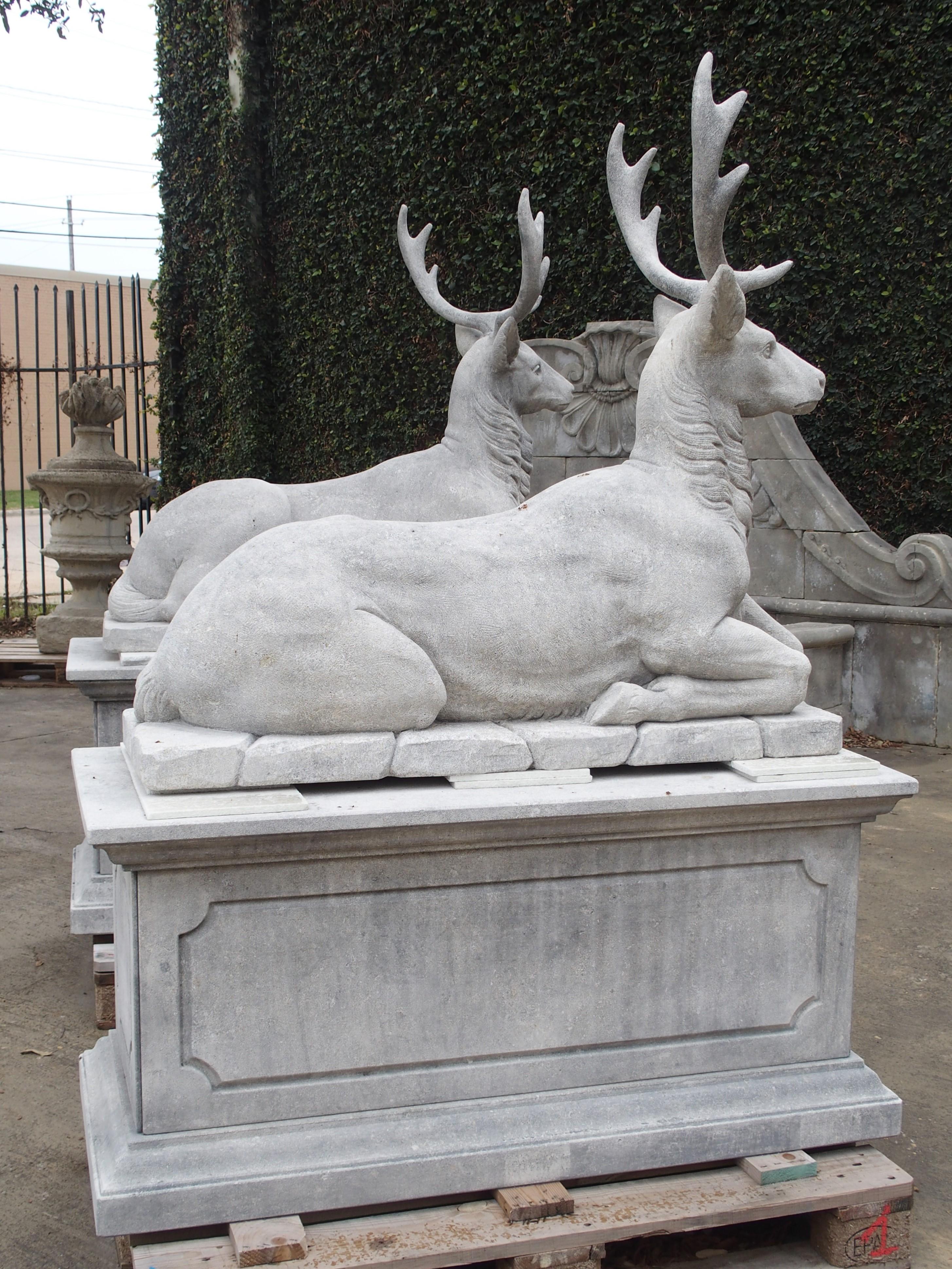 Pair of Life-Sized Italian Carved Limestone Stags on Pedestals 9