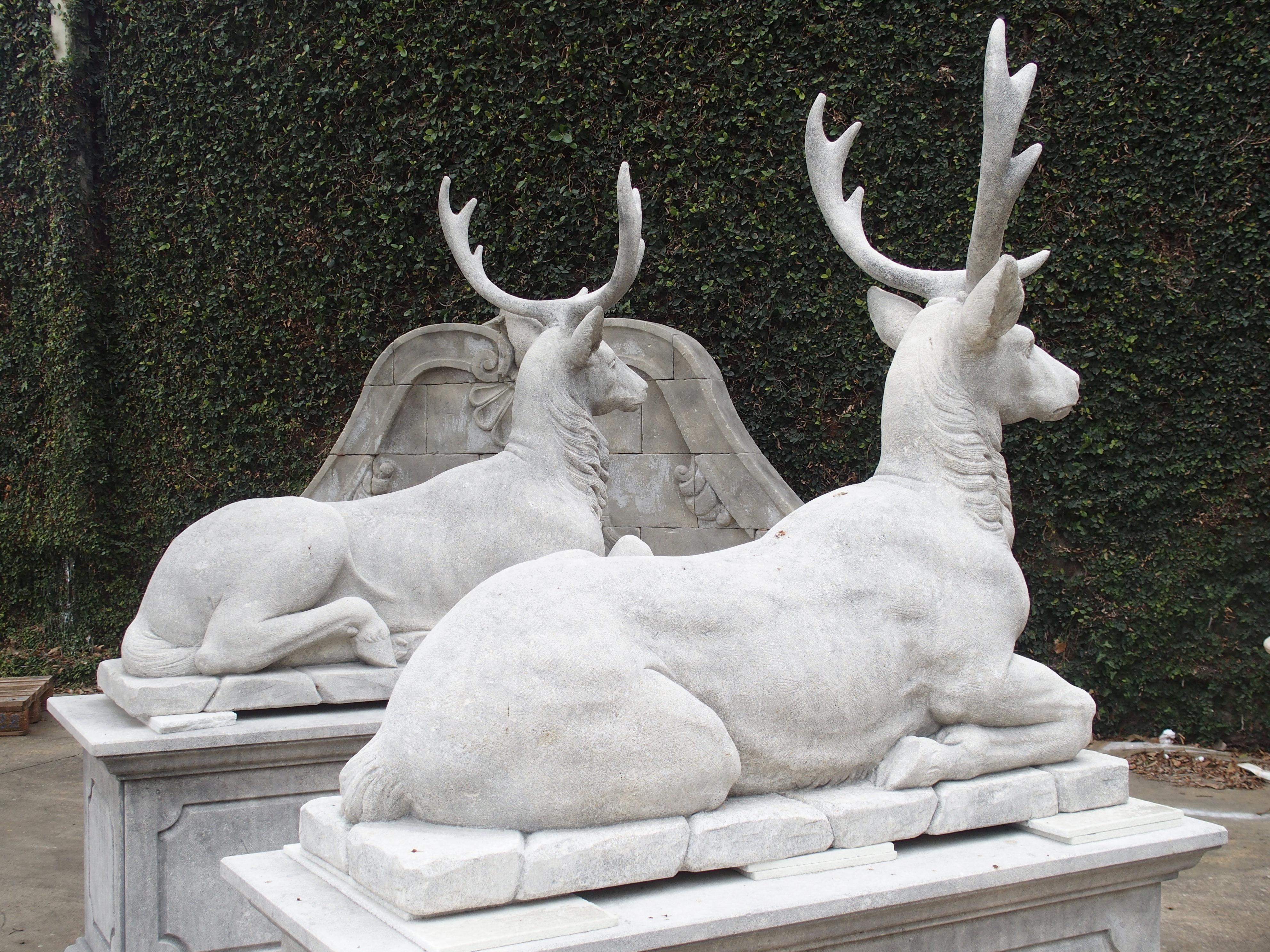 Pair of Life-Sized Italian Carved Limestone Stags on Pedestals 10
