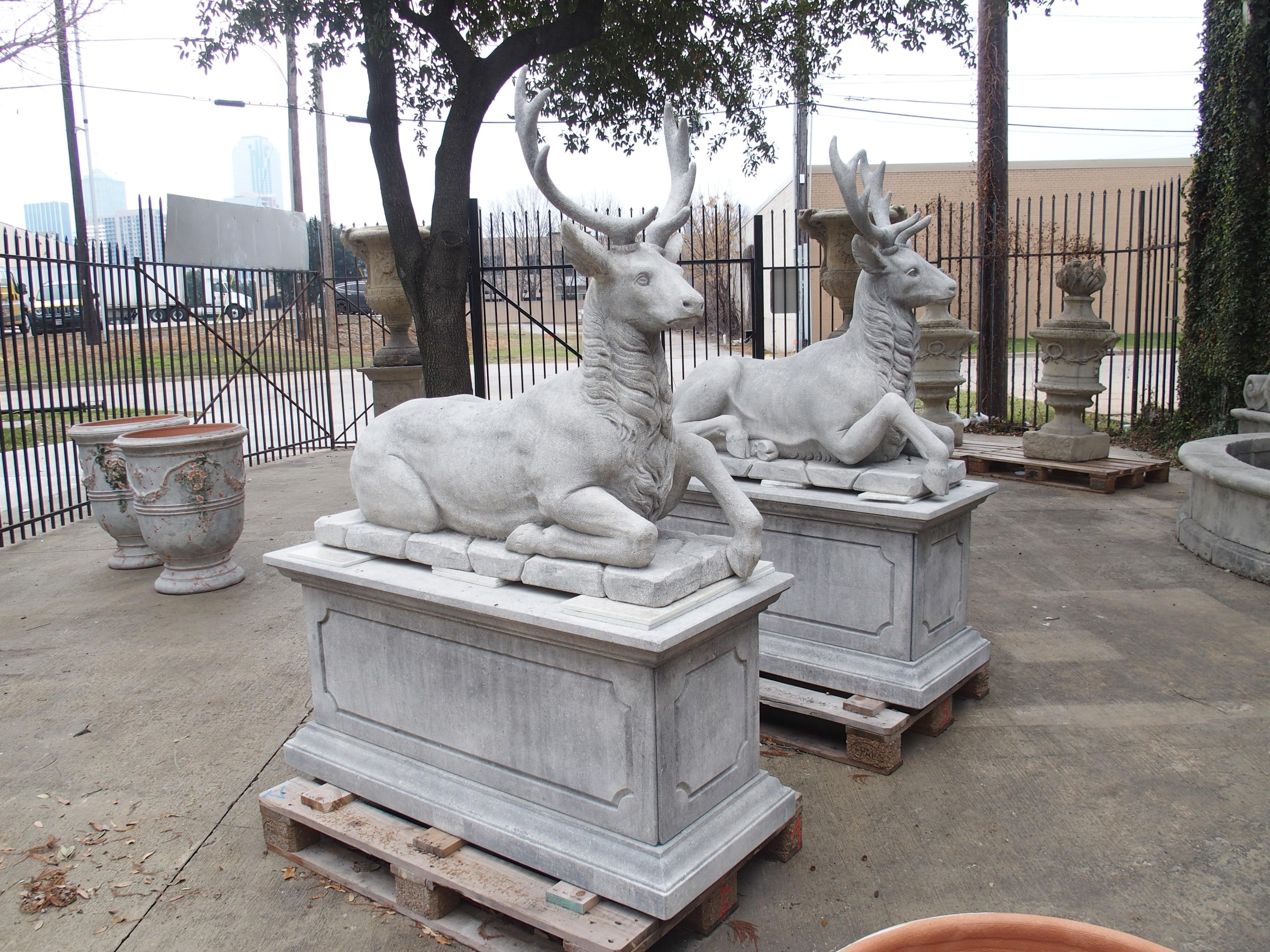 Pair of Life-Sized Italian Carved Limestone Stags on Pedestals 11