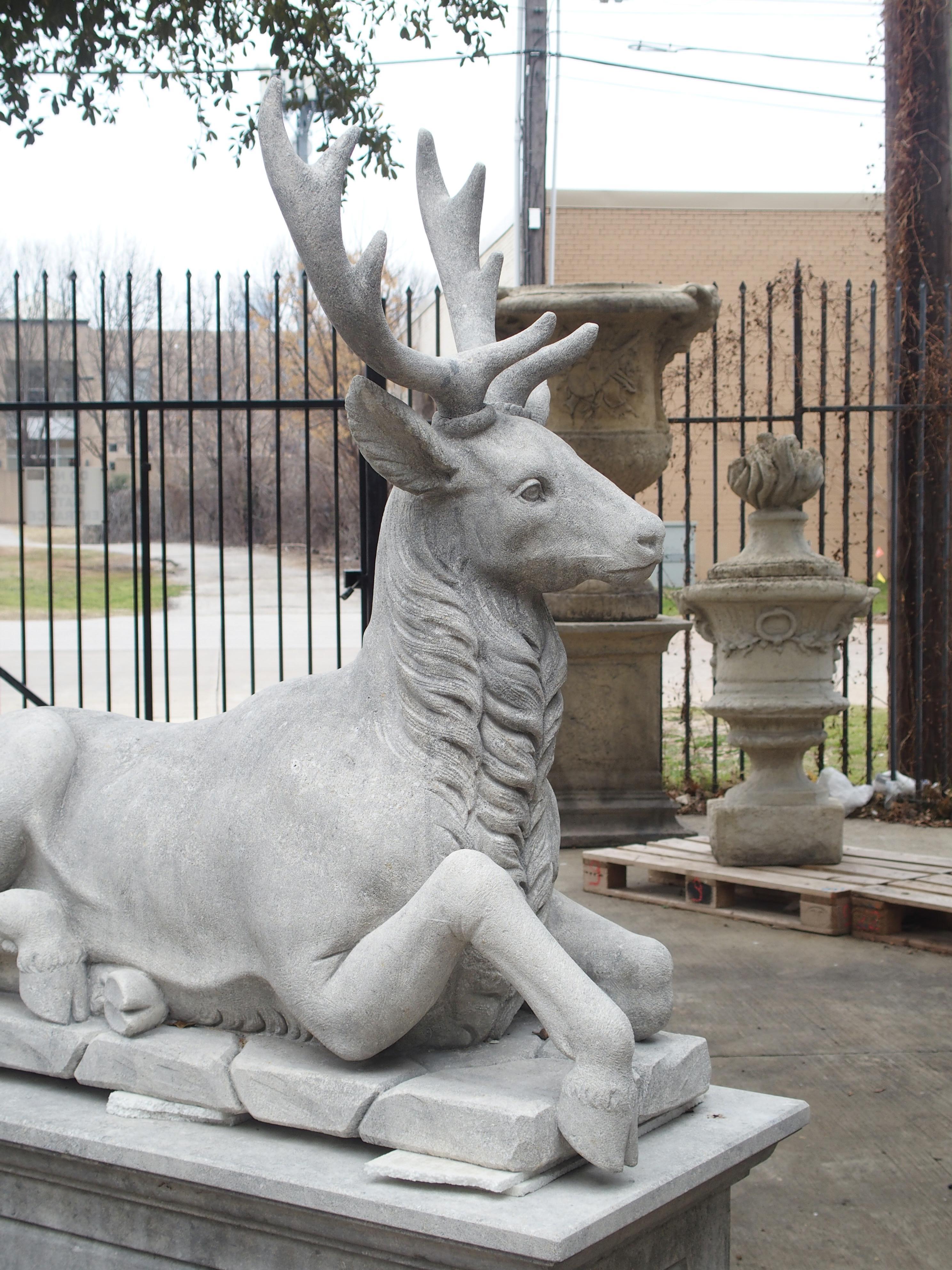Pair of Life-Sized Italian Carved Limestone Stags on Pedestals 12