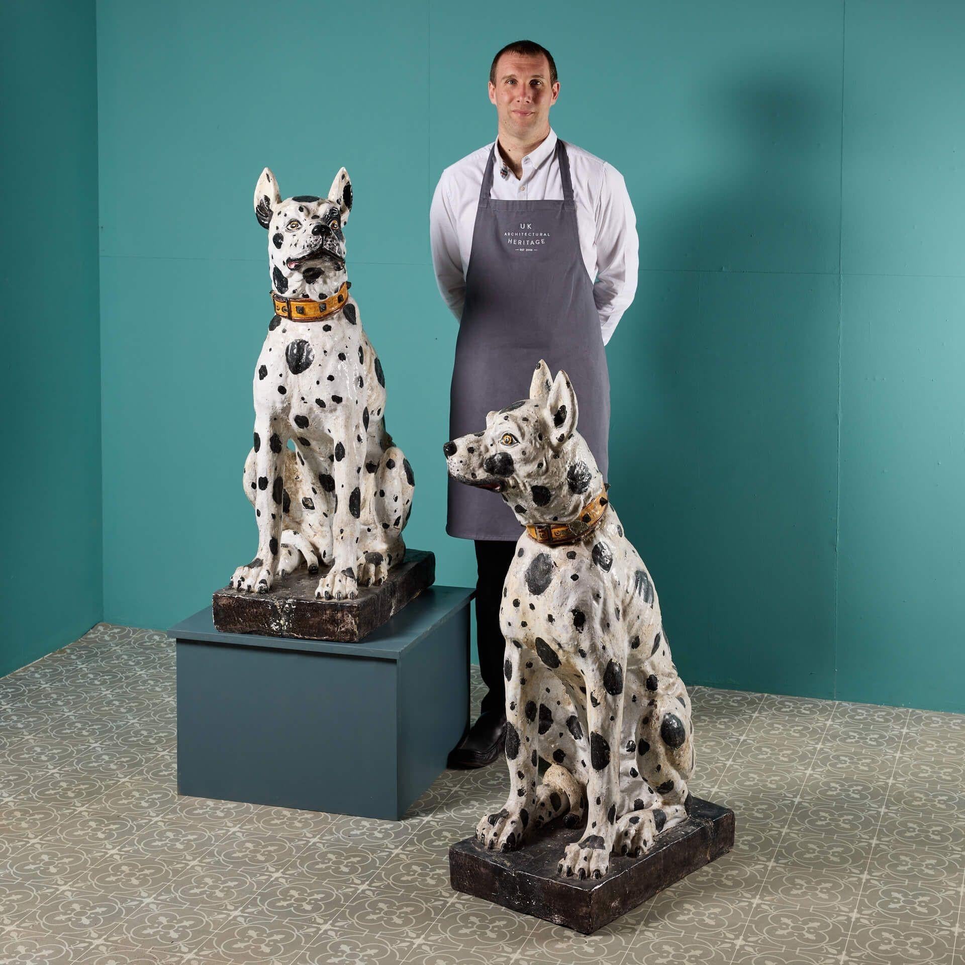 A playful pair of reclaimed mid 20th century life-size Great Dane statues made in terracotta and glazed in white with black spots. Handsomely made, these dogs are superbly designed in realistic detail with dynamic profiles, pointed ears and lively