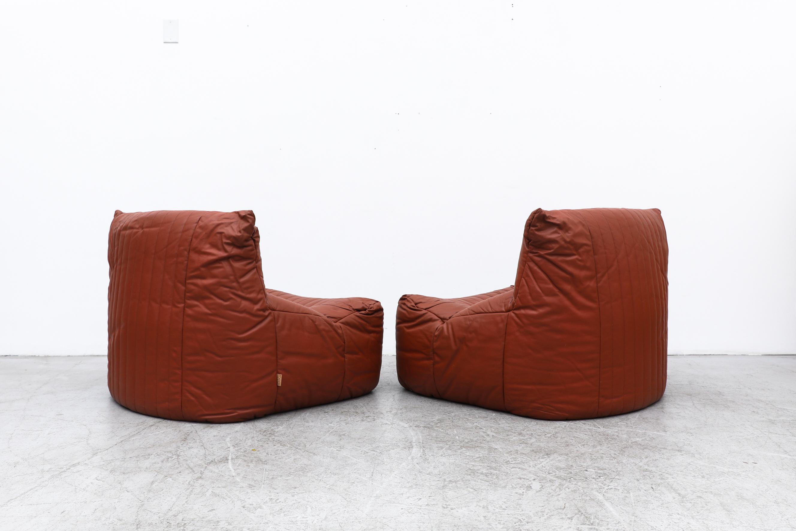 aralia ligne roset