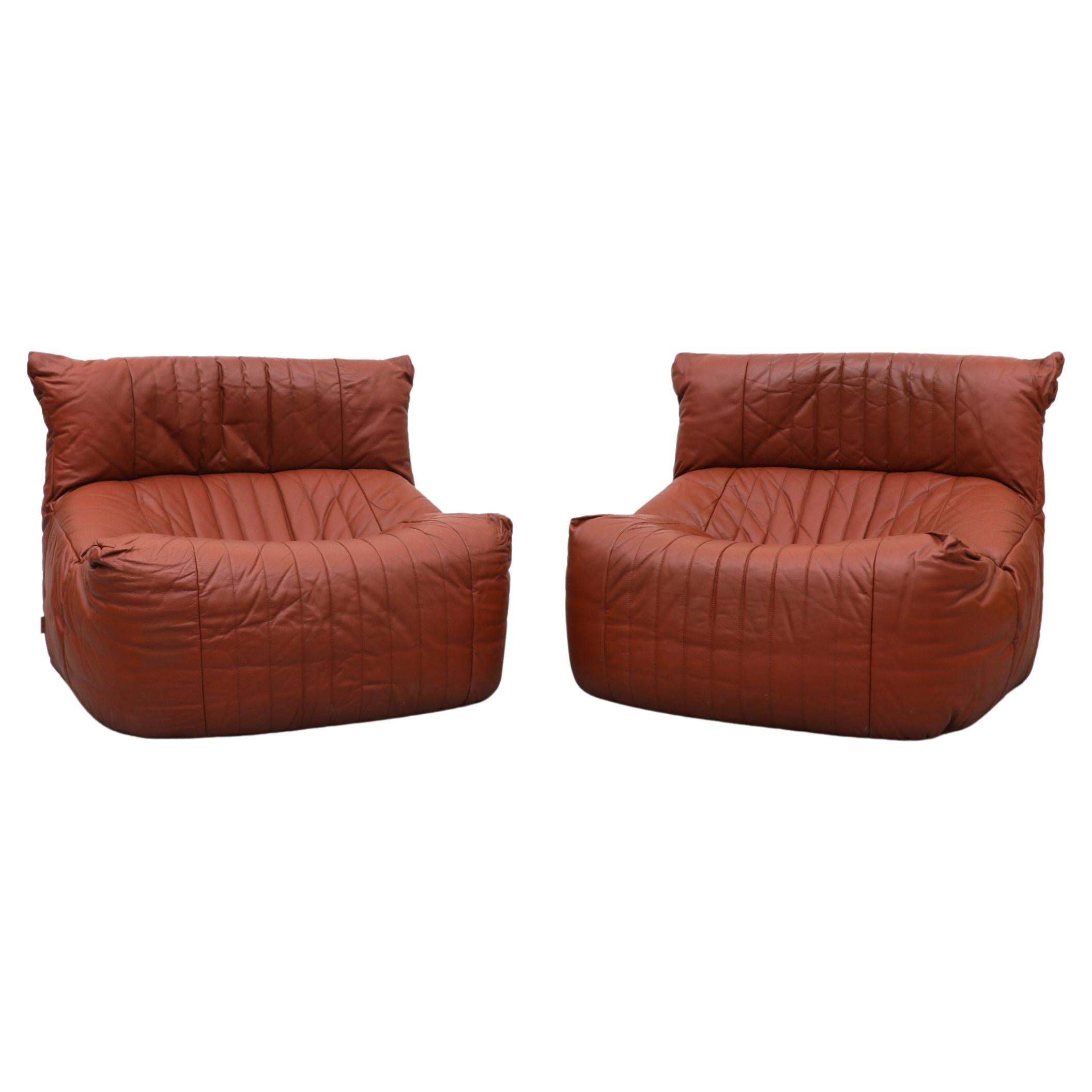 Pair of Ligne Roset 'Aralia' Lounge Chairs by Michel Ducaroy