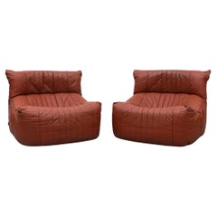 Pair of Ligne Roset 'Aralia' Lounge Chairs by Michel Ducaroy