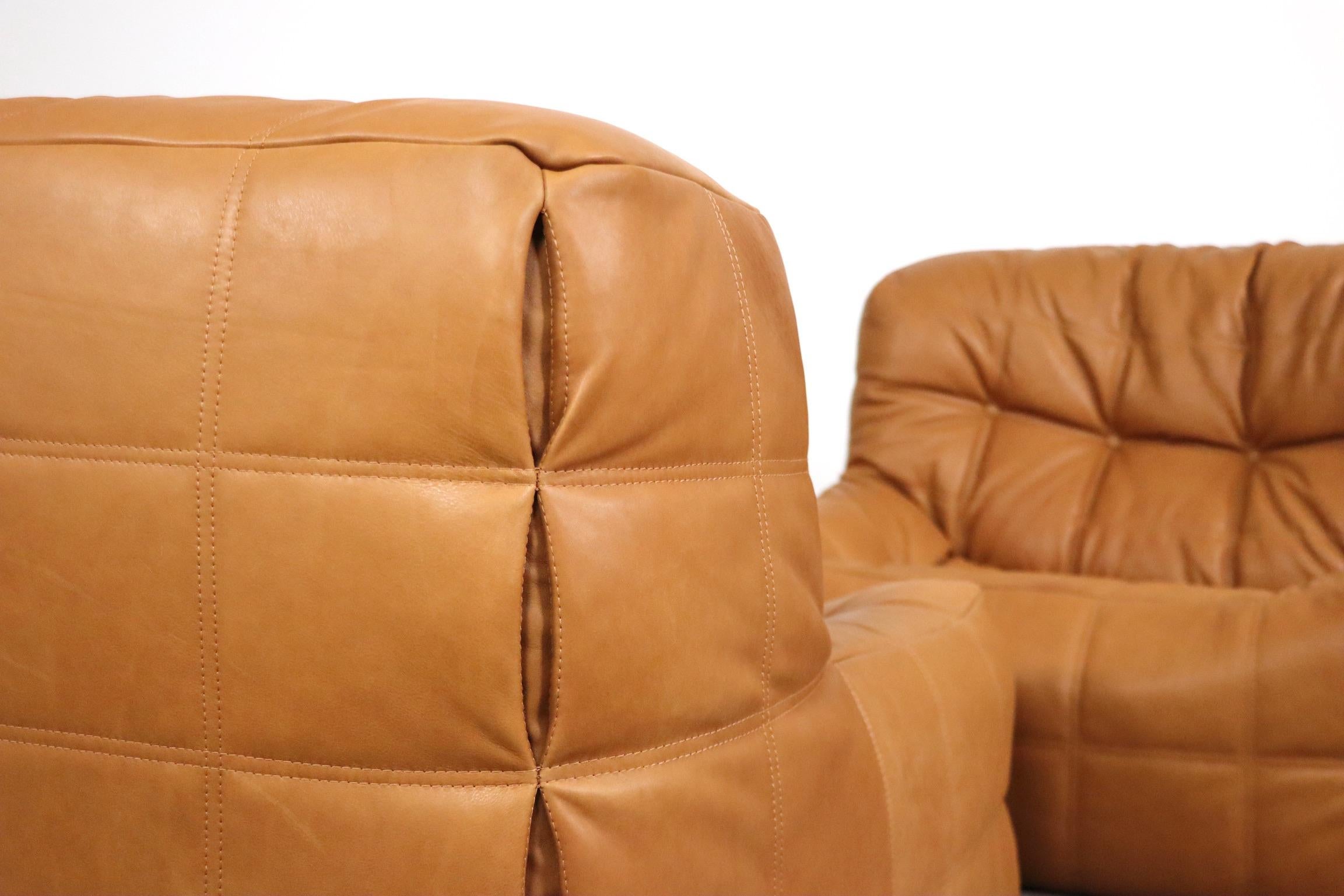 Pair of Ligne Roset Kashima Lounge Chairs in Cognac Leather by Michel Ducaroy 4