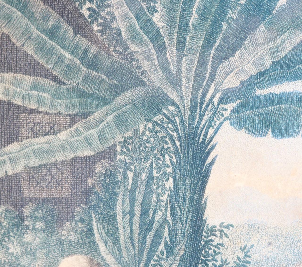 Paar Lithografien aus den Virgin Islands, 19. Jahrhundert (Jungferninseln) im Angebot