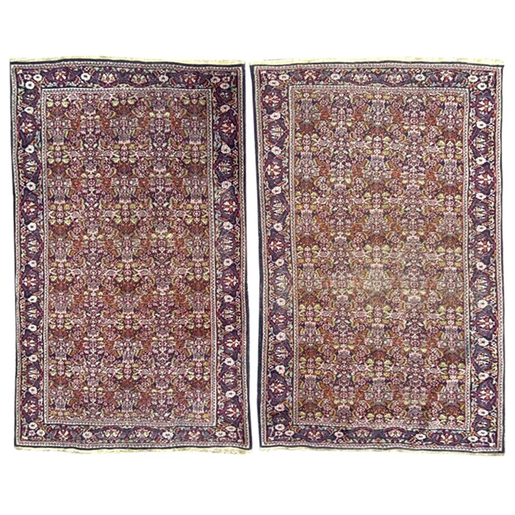 Bobyrug’s Pair of Little Indian Punjab Rugs For Sale
