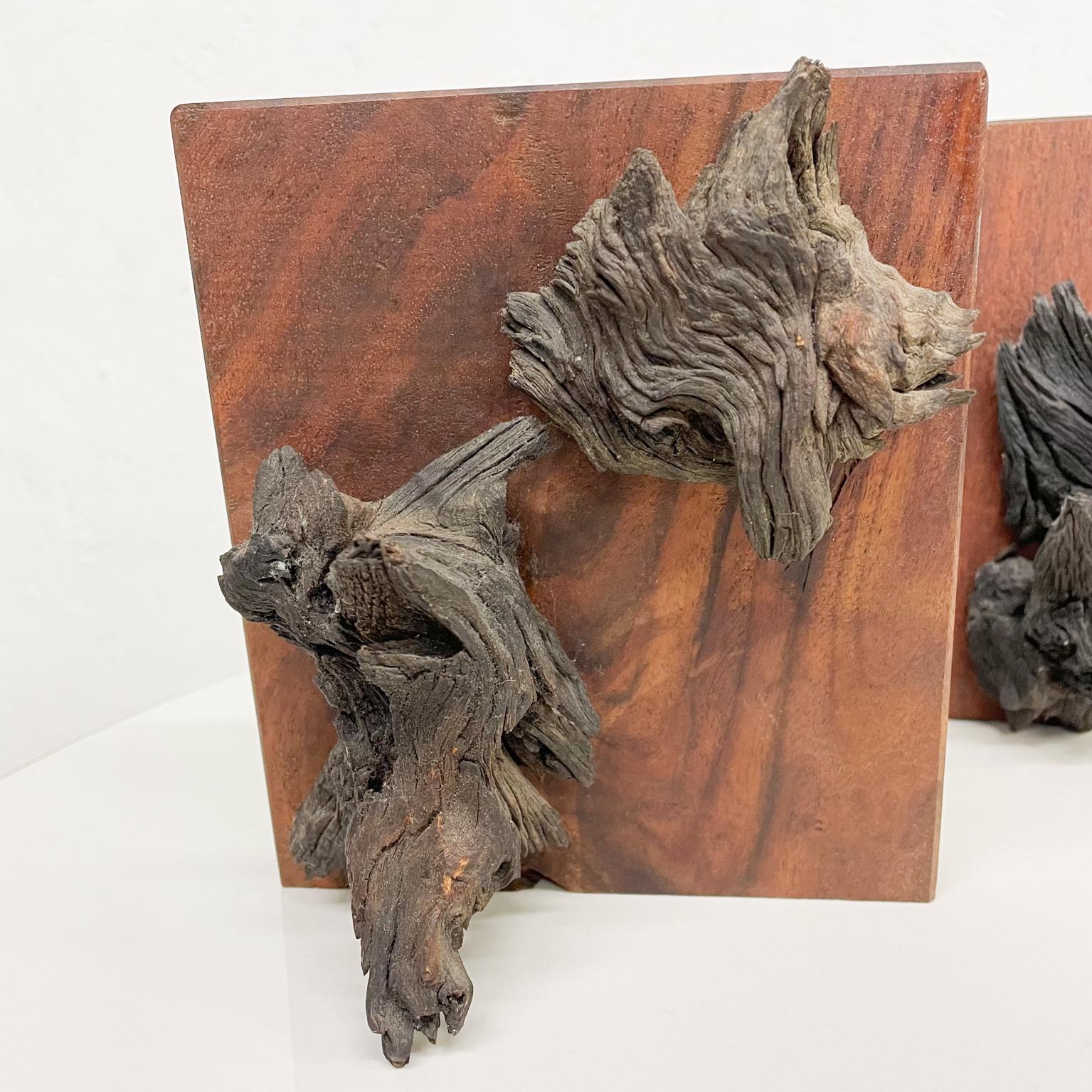 American Pair of Bookends Walnut Wood Live Edge Design Organic Form 1970s For Sale