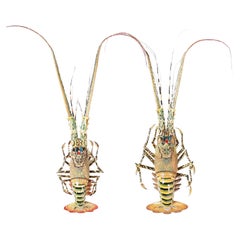 Pair of Lobster Wall Sculptures