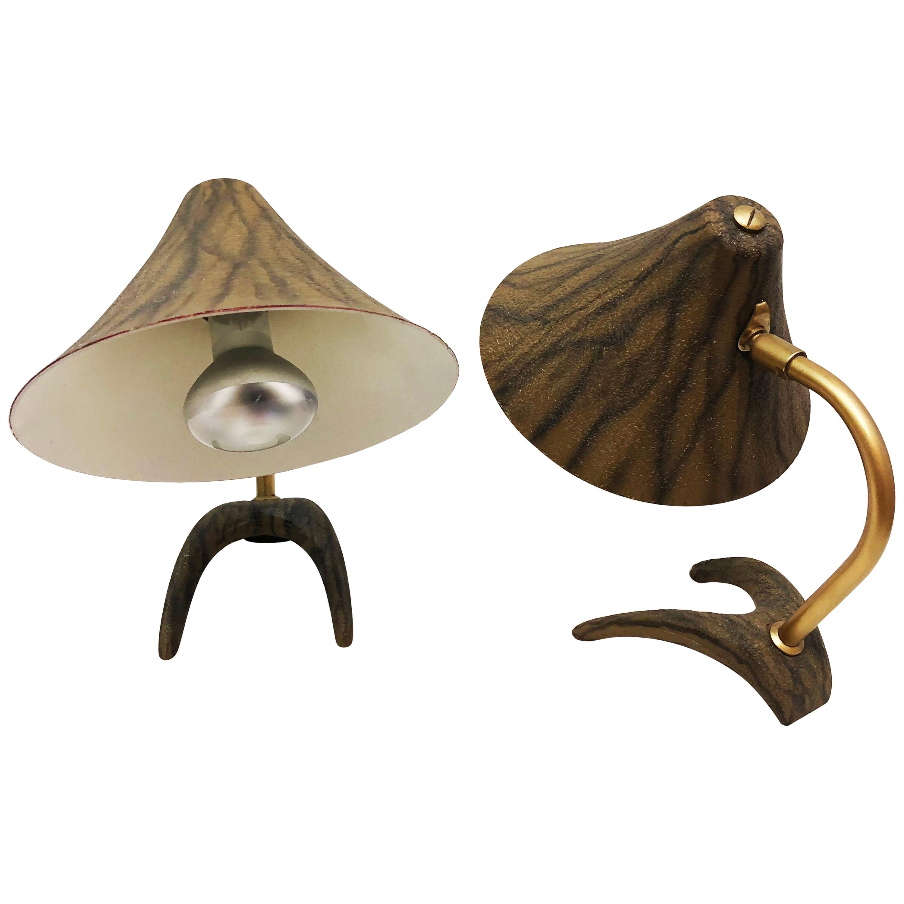 Pair of Louis Kalff Crane Feet Table Lamp for Philips