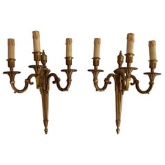 Pair of Louis the 16th Style 3 Arms Bronze Wall Lights by Lucien Gau