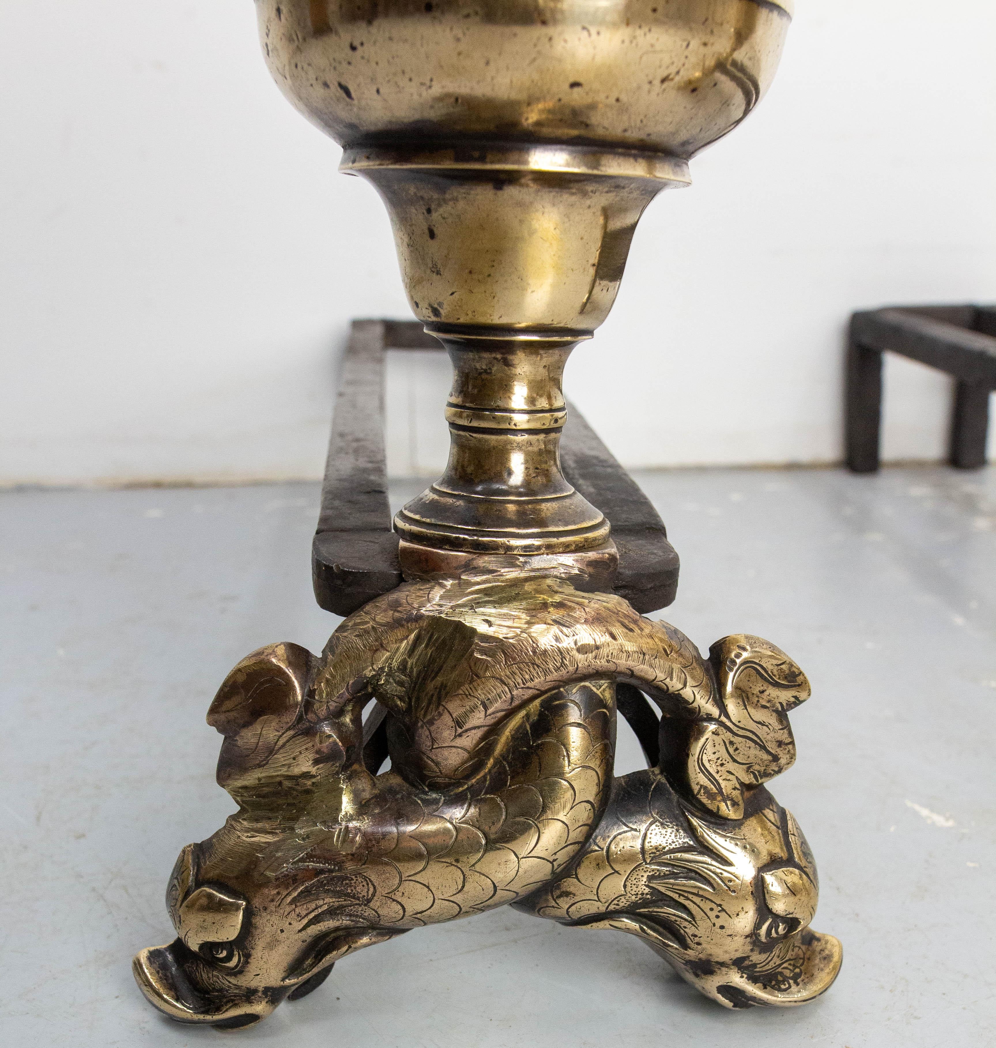 Pair of Louis XIV Bronze & Wrought Iron Dolphin Andirons, France, Late 17th C siglo XVII en venta