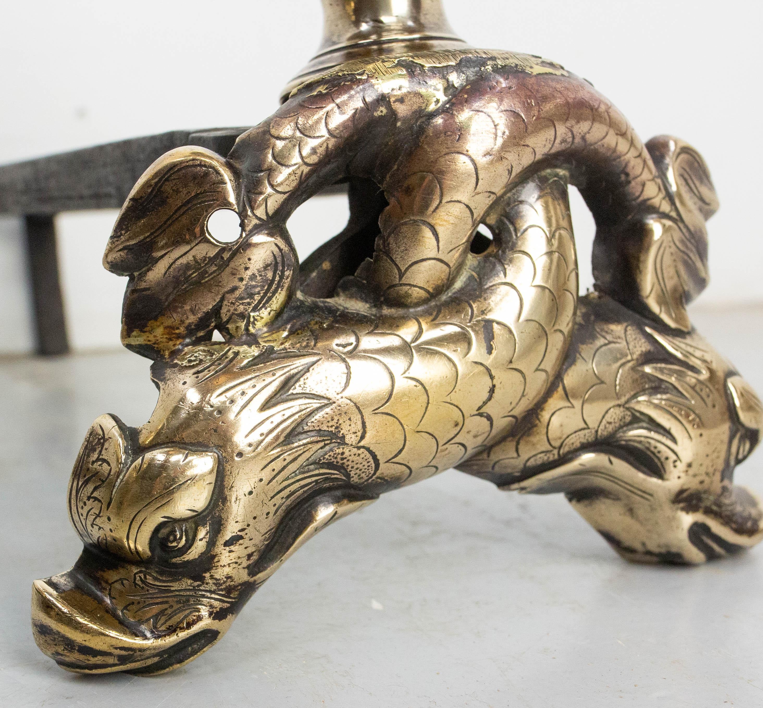 Pair of Louis XIV Bronze & Wrought Iron Dolphin Andirons, France, Late 17th C en venta 1