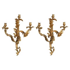 Pair of Louis XV Bronze Sconces