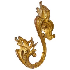 Pair of Louis XV Bronze Scroll Tie Backs