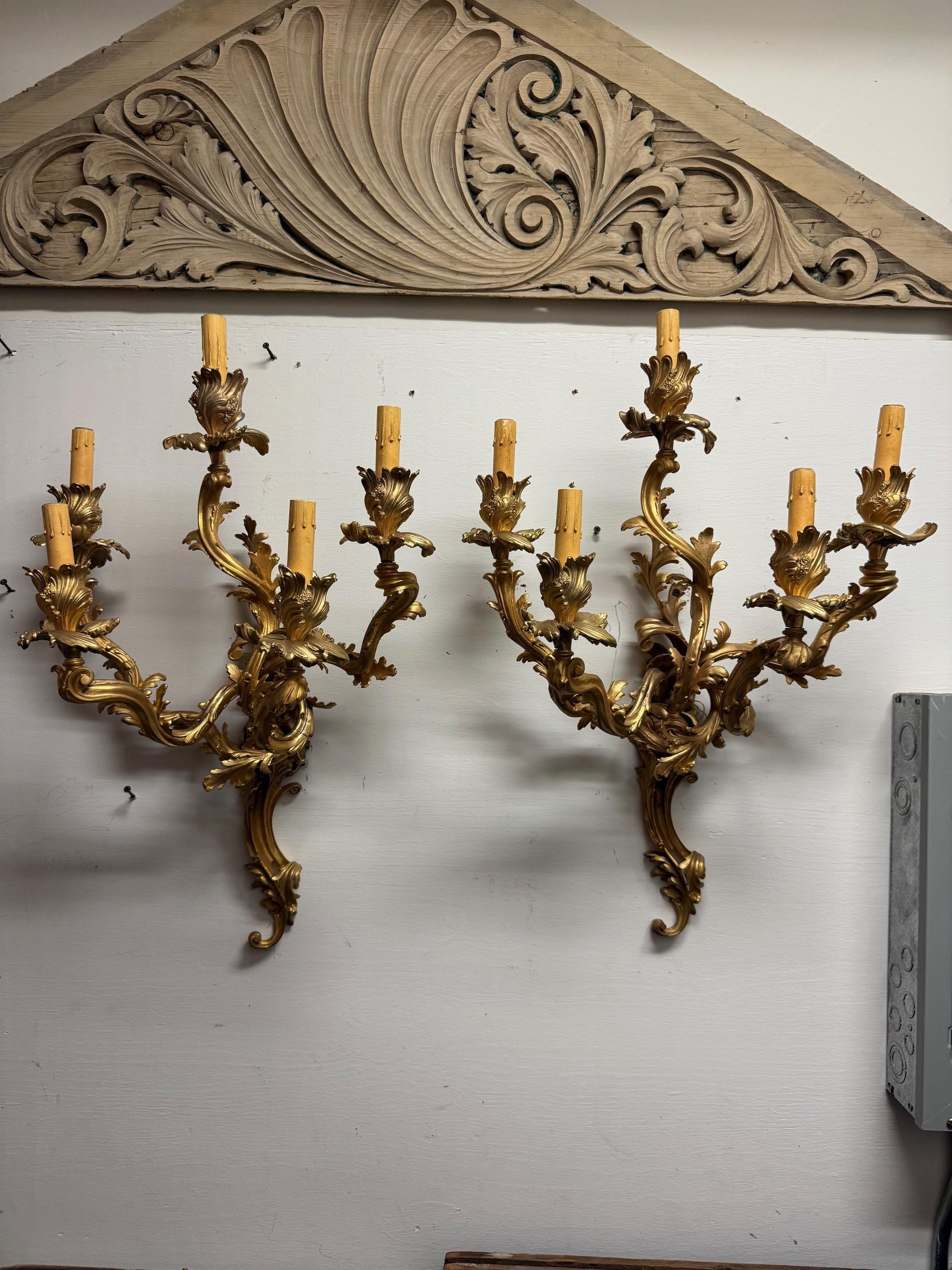Pair of French Louis XV Style Rococo gilt bronze five light wall sconces.
A magnificent pair of wall sconces, featuring five arms of light in chiseled and gilded bronze. They represent a fine example of French Louis XV style work, in the most