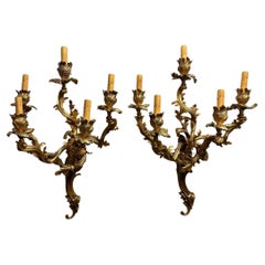 Vintage Pair of Louis XV French Rococo Style Gilt Bronze Five-Light Wall Sconces
