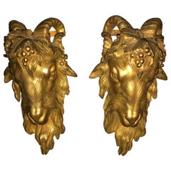 Pair of Louis XV Gilded Bronze Sconces, Ram Heads, Têtes de Béliers, Imposing