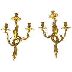 Rococo Wall Lights and Sconces