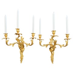 Pair of Louis XV Rocaille Style Sconces in Gilt Bronze