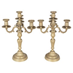 Pair of Louis XV Style French Brass Candelabra