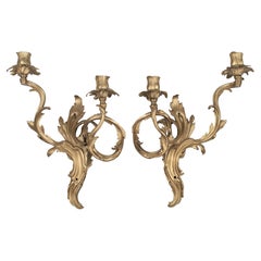 Pair of Louis XV Style French Bronze Candle Sconces