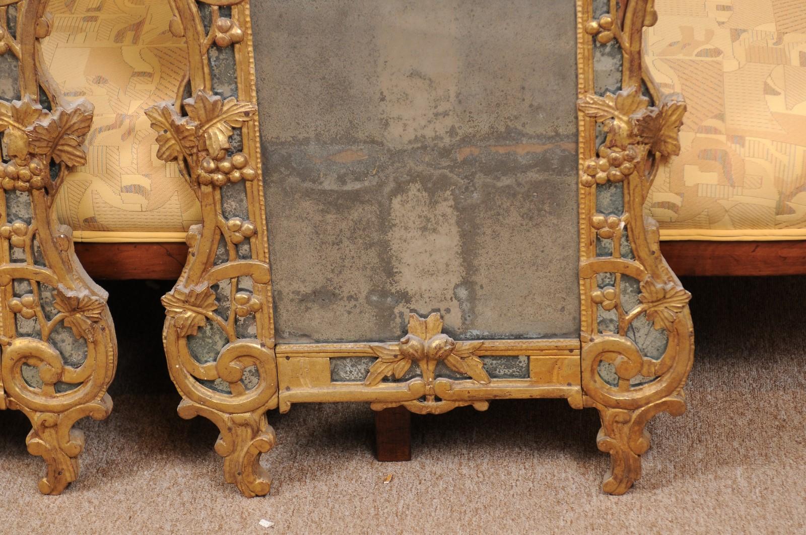 19th Century Pair of Louis XV Style French Giltwood Mirrors