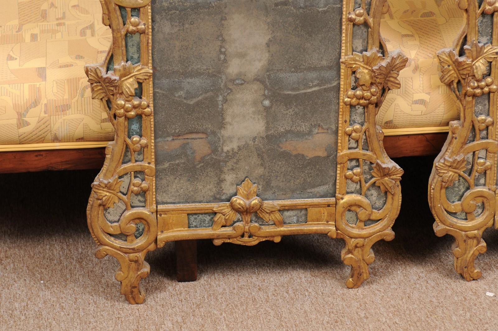 Pair of Louis XV Style French Giltwood Mirrors 3