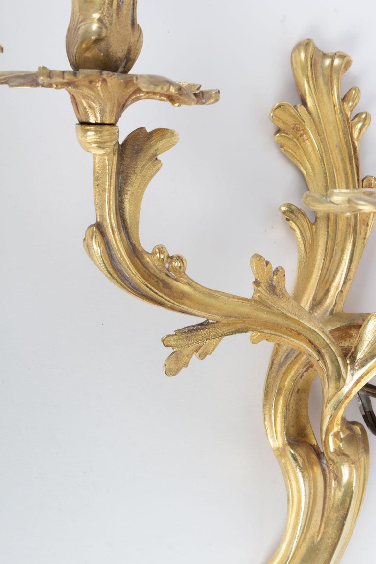 Pair of Louis XV Style Gilt Bronze 3-Light Sconces, 19th Century For ...