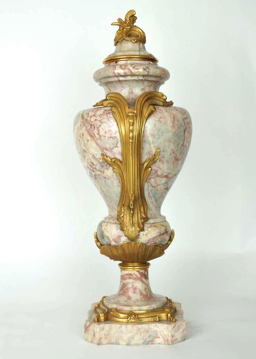Pair of Louis XV Style Gilt Bronze and Marble Urns 5