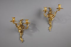 Pair of Louis XV Style Gilt Bronze Sconces