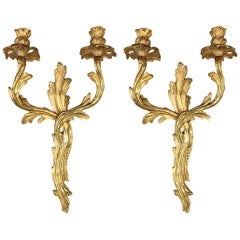 Pair of Louis XV Style Gilt Bronze Sconces