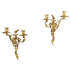 Pair of Louis XV Style Gilt Bronze Sconces