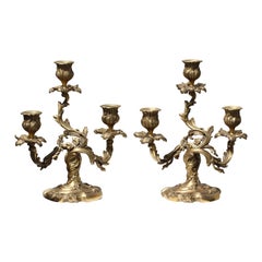 Antique Pair of Louis XV Style Gilt-Bronze Three Light Candelabra