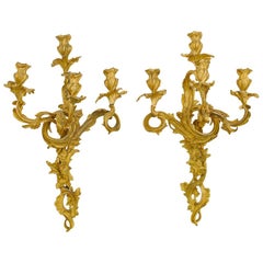 Pair of Louis XV Style Ormolu Sconces, 19th Century