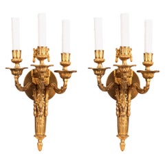 Pair of Louis XV Style Ormolu Three-Light Wall Sconces