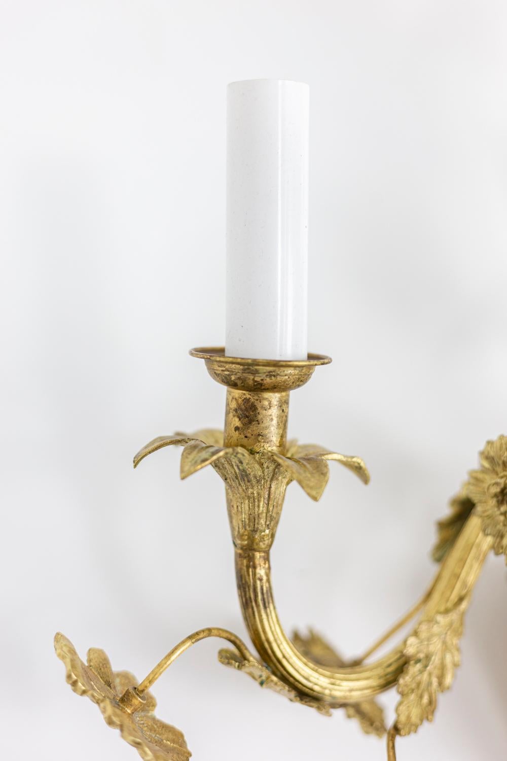 20th Century Pair of Louis XV Style Wall Sconces in Gilt Bronze, 1900s