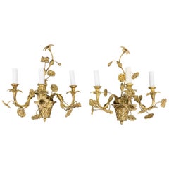Pair of Louis XV Style Wall Sconces in Gilt Bronze, 1900s