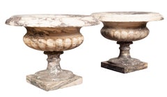 Pair of Louis XVI Breche Violette Marble Urns
